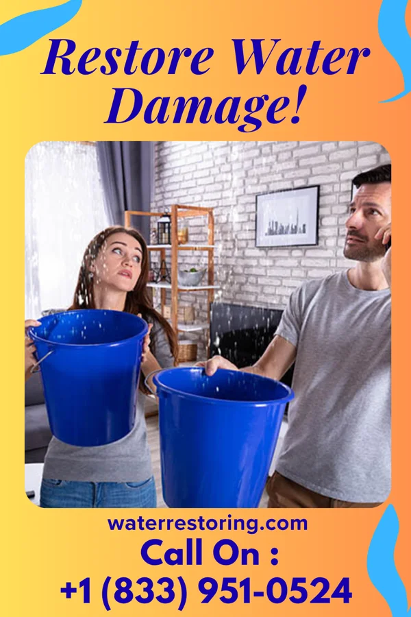 water restoration Ace Water Works Professionals Rushford Village