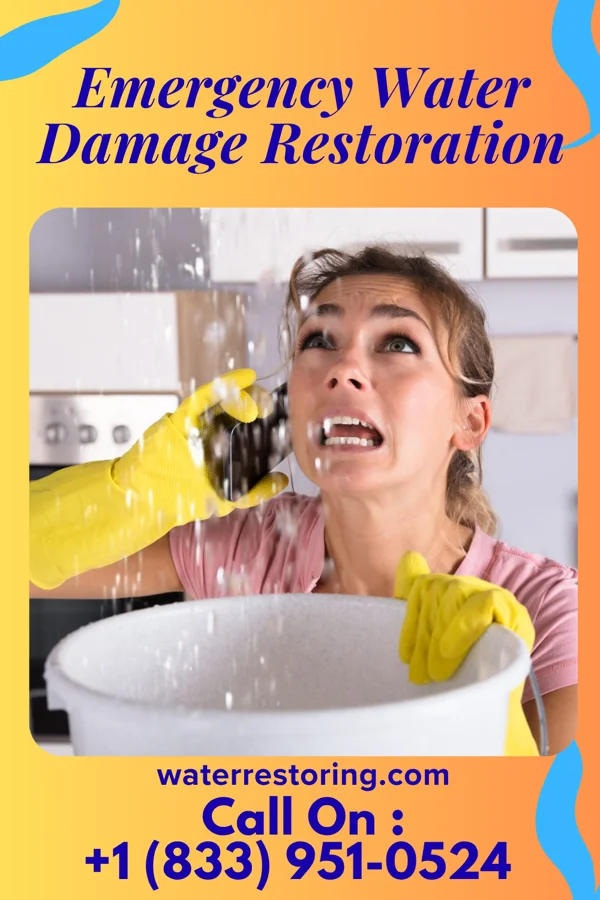 Emergency Water Damage Restoration in Rushford Village, MN